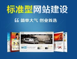 标準網站(zhàn)建設